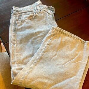 Aritzia Denim Forum womens 90s iggy lo-rise cropped Jeans